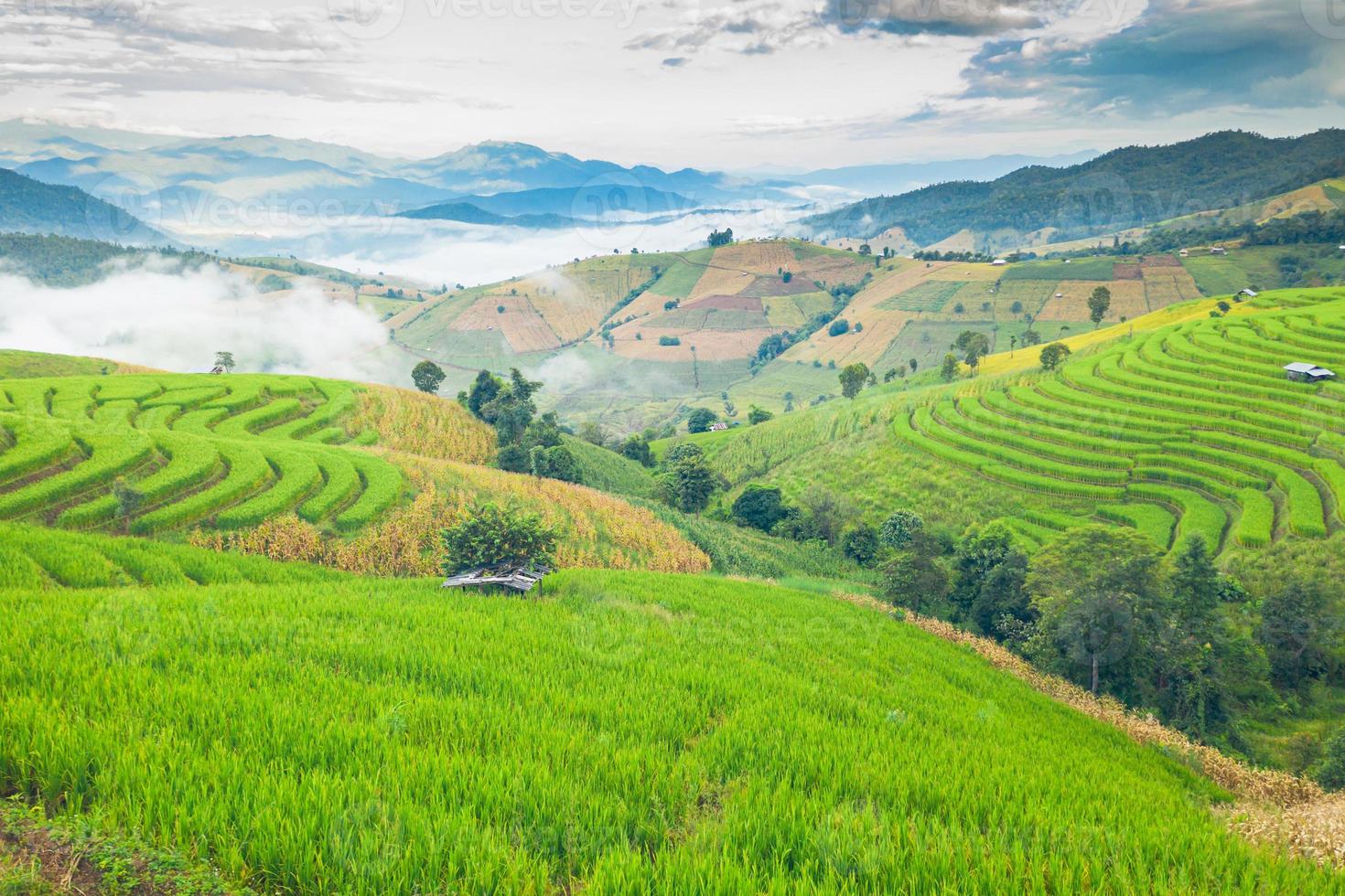 montagnes et rizières en terrasses dans le nord de la Thaïlande photo