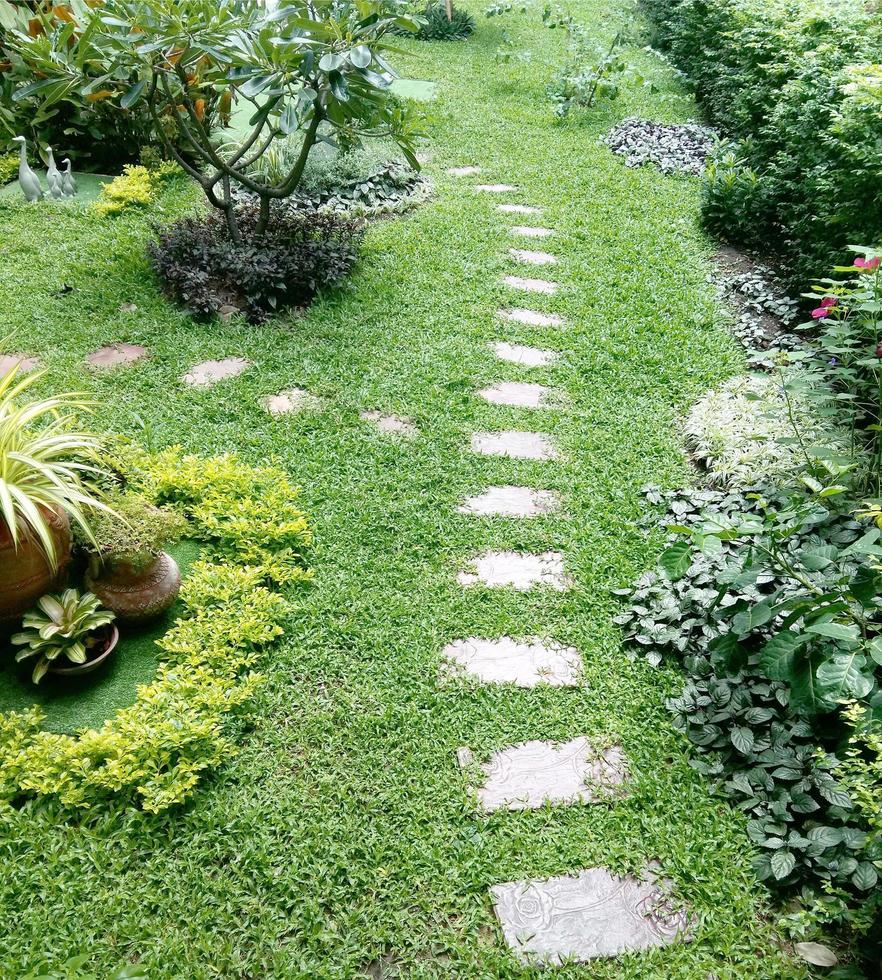 Allée de chemin de pierre dans le jardin d'herbe verte photo