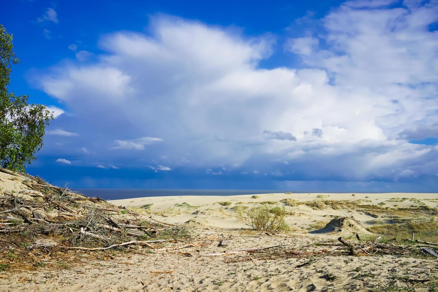 paysage marin de la mer baltique avec dunes de sable côtières de la broche de Courlande. photo