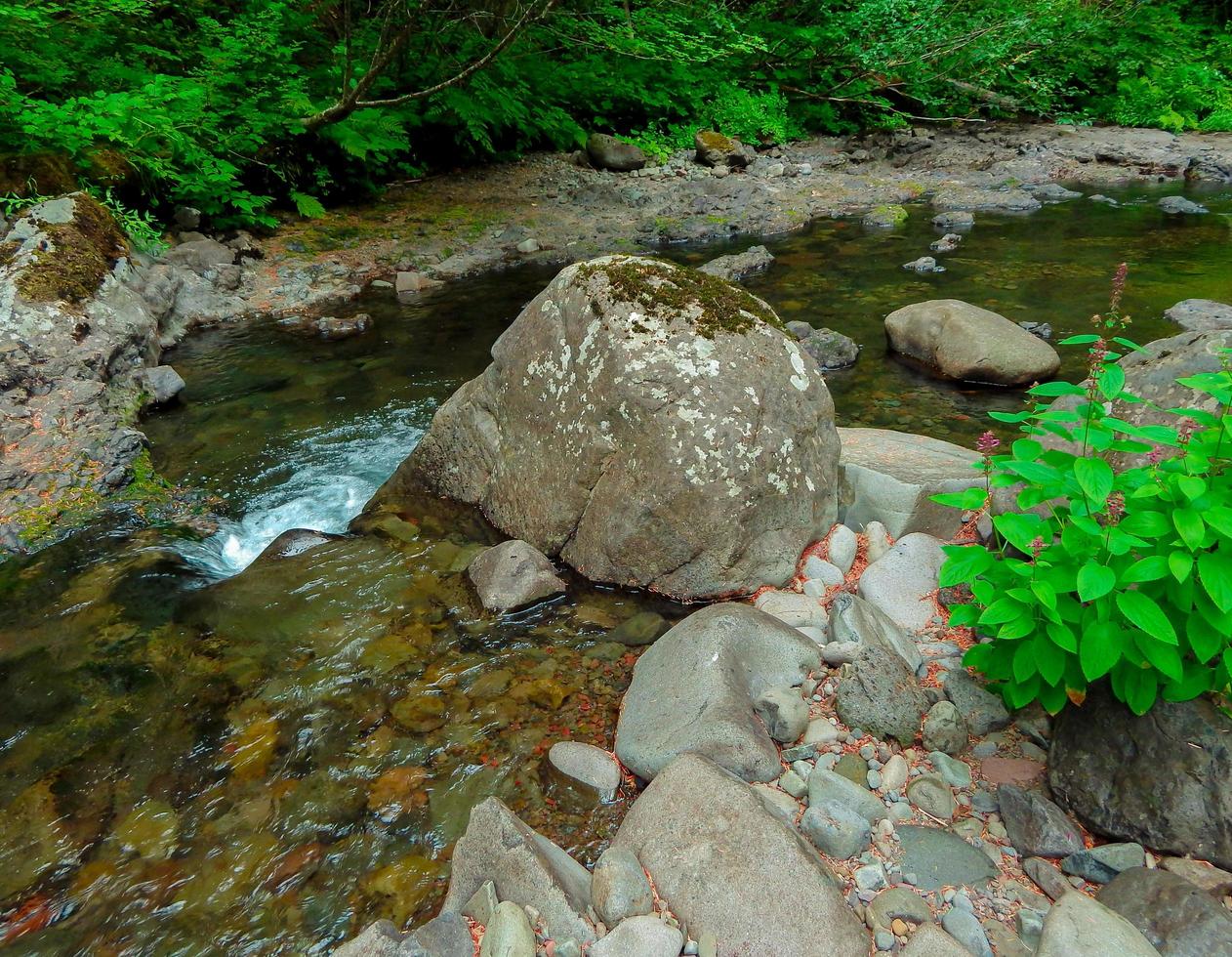 voie navigable d'été - ruisseau Hackleman - chaîne de cascade - près du sommet de la pierre tombale - ou photo