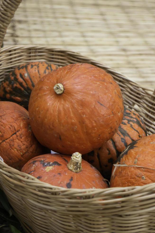 citrouilles dans un panier photo