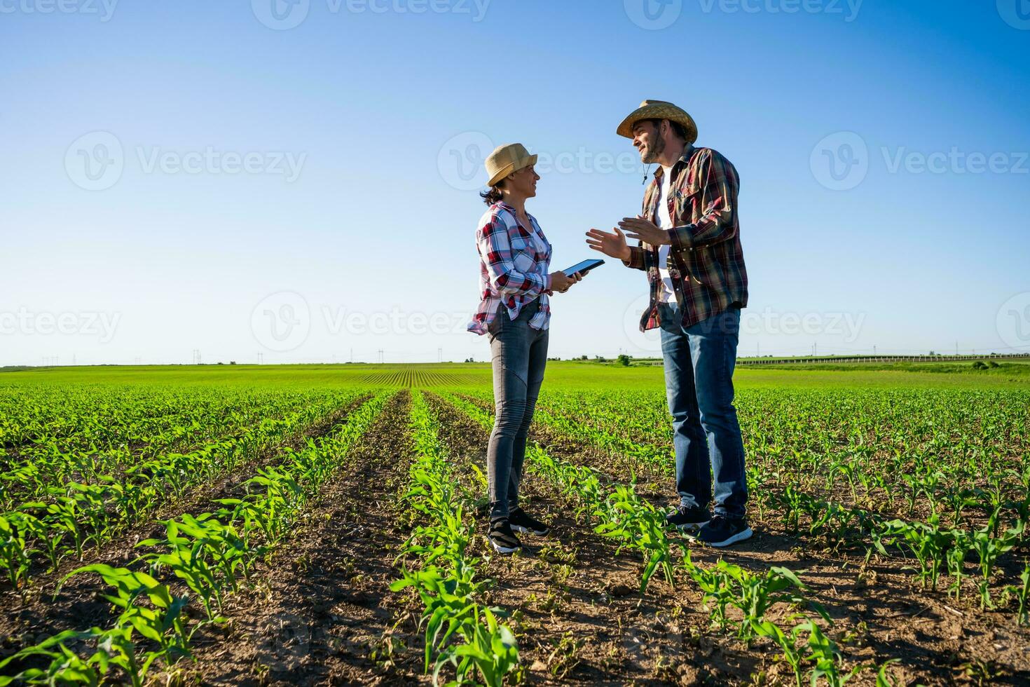 agriculteur couple sur leur terre et plantation photo