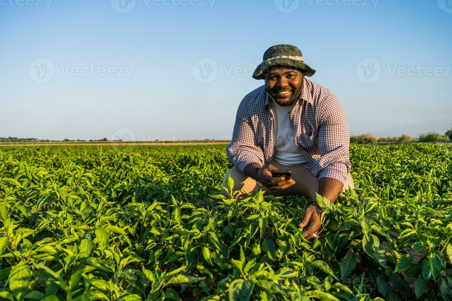 agriculteur est permanent dans le sien croissance soja champ. photo