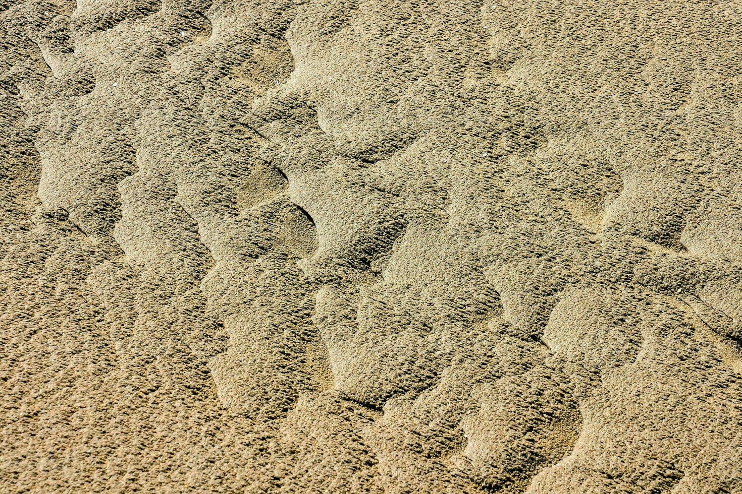 fond de texture de sable photo