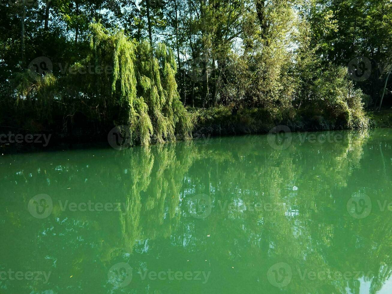 une vue si le rivière photo