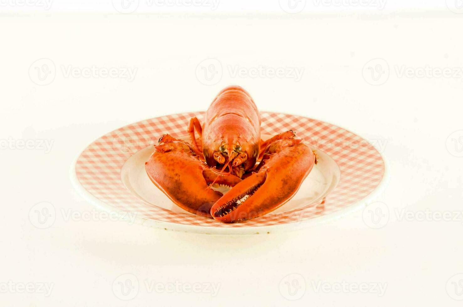 homard sur une assiette photo