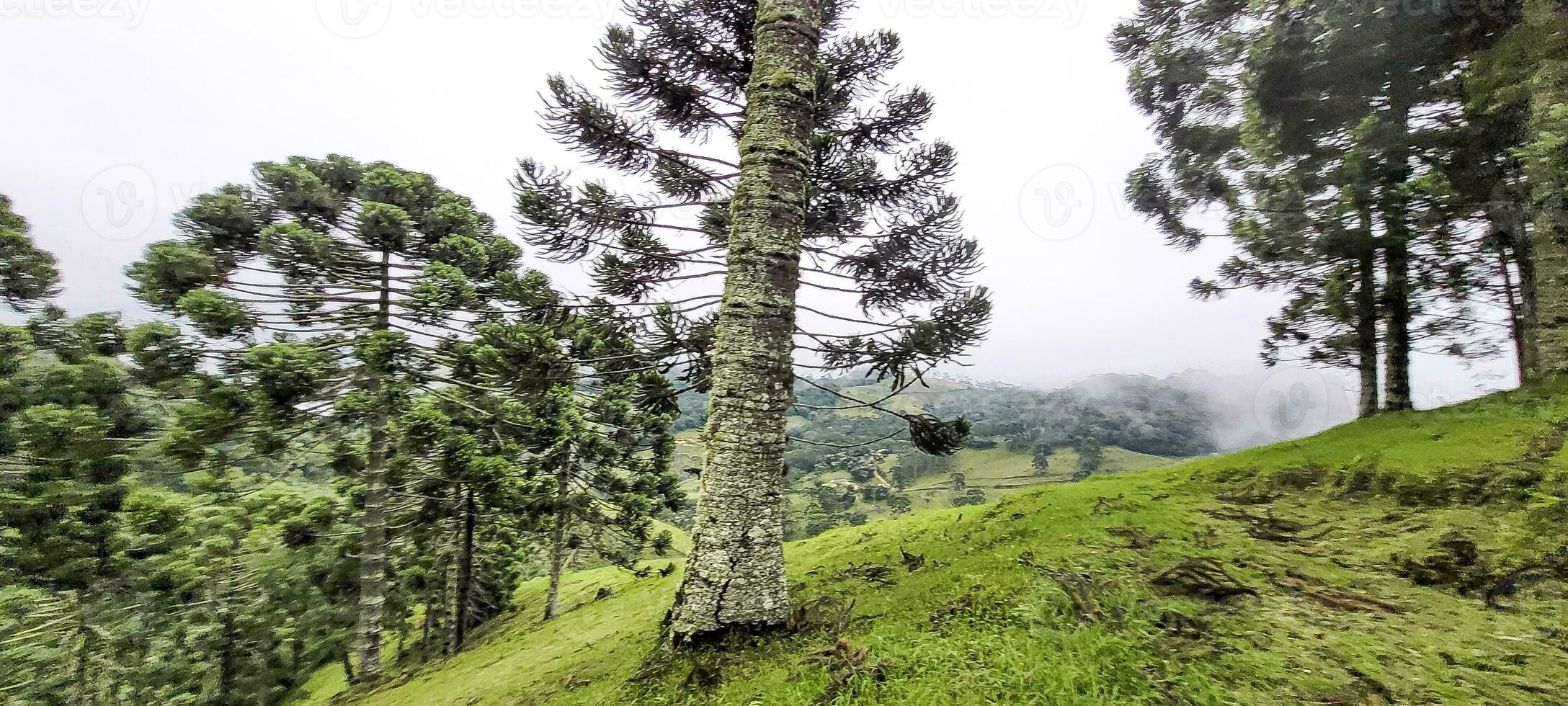 vue de le montagnes de les mines gerais Brésil photo