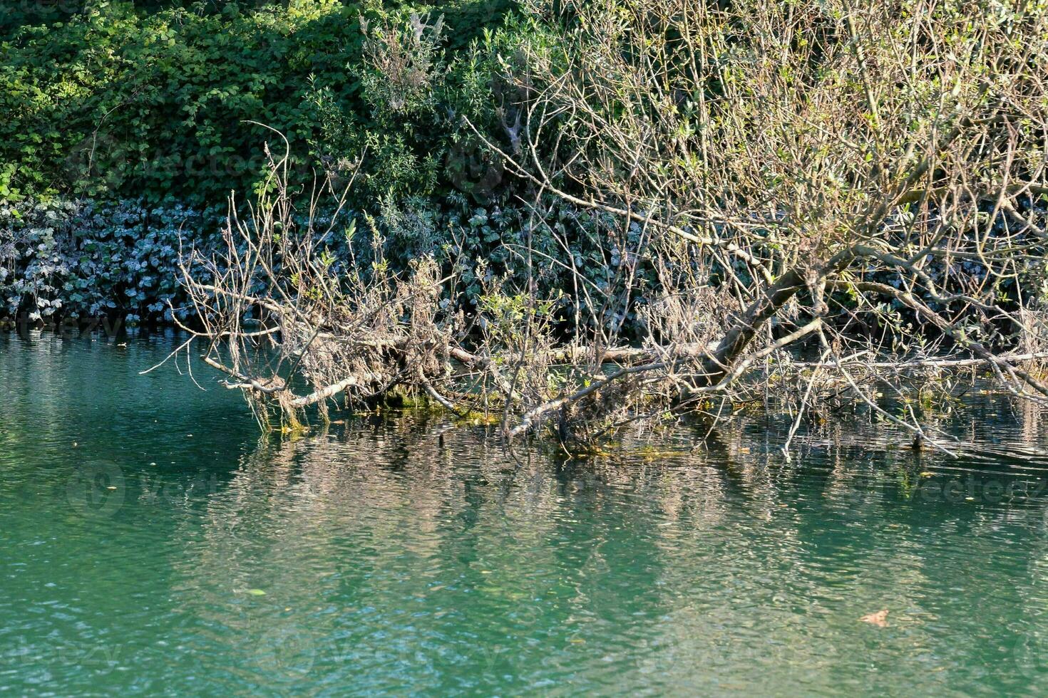 vue panoramique sur la rivière photo