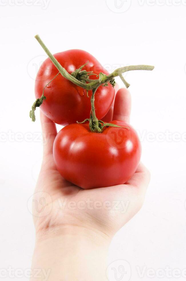 rouge tomates isolé photo