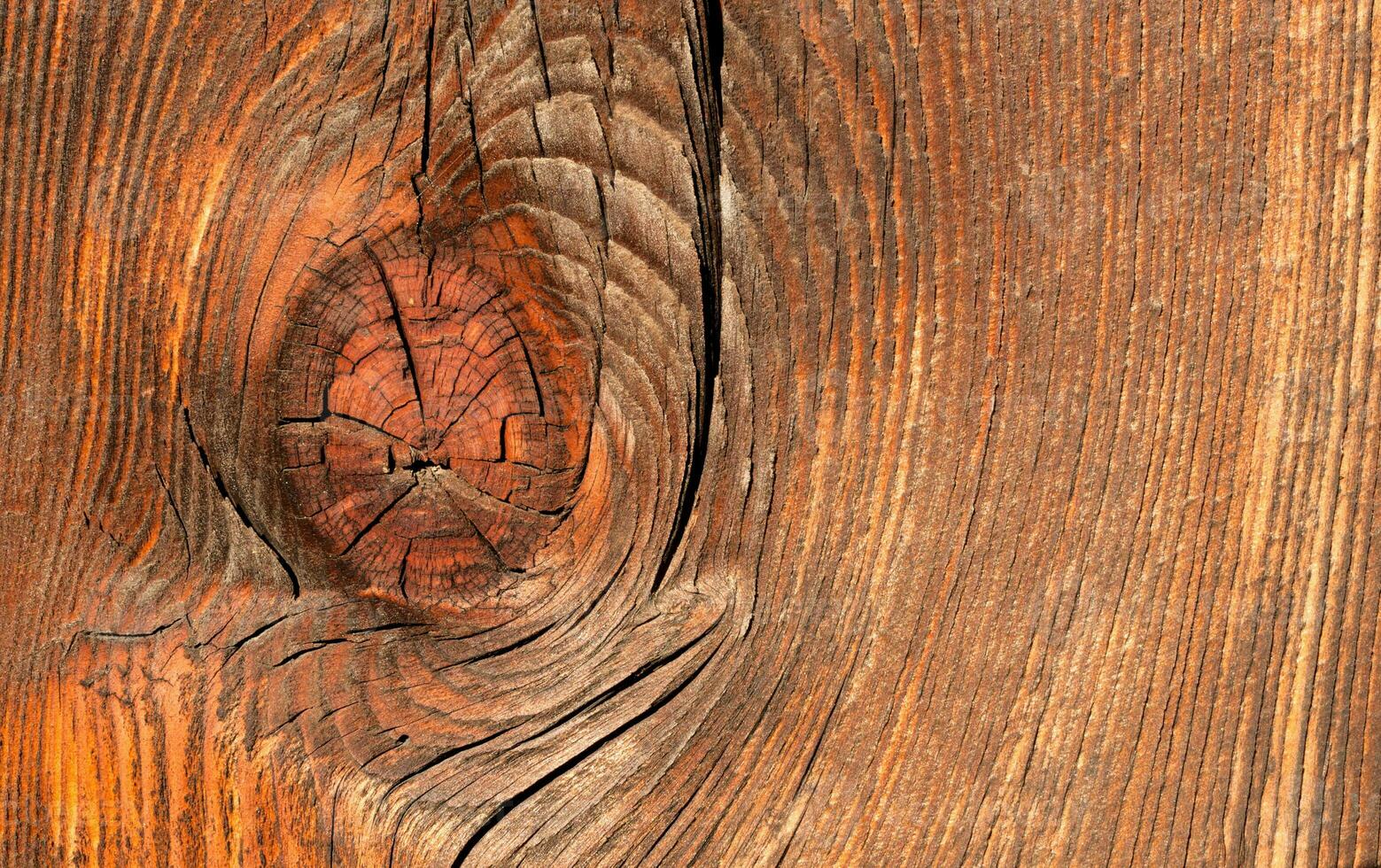 fond de mur en bois photo