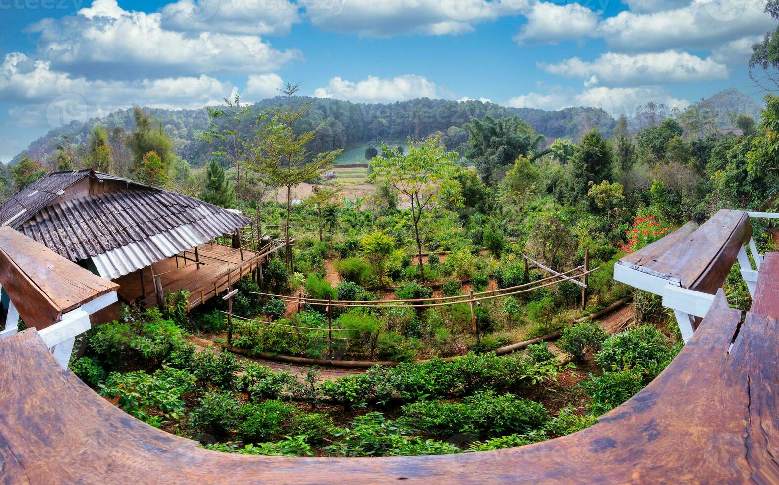 vert paysage dans nord Thaïlande avec bleu nuageux ciels photo