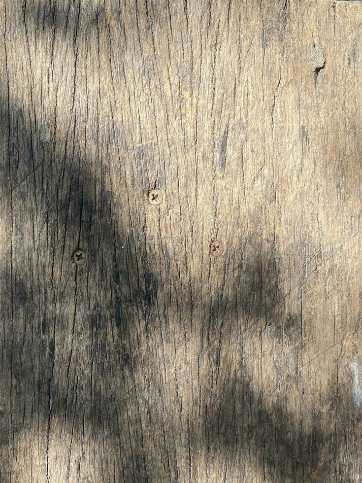 feuilles ombre Contexte sur en bois sol texture, feuilles arbre branches ombre avec lumière du soleil photo
