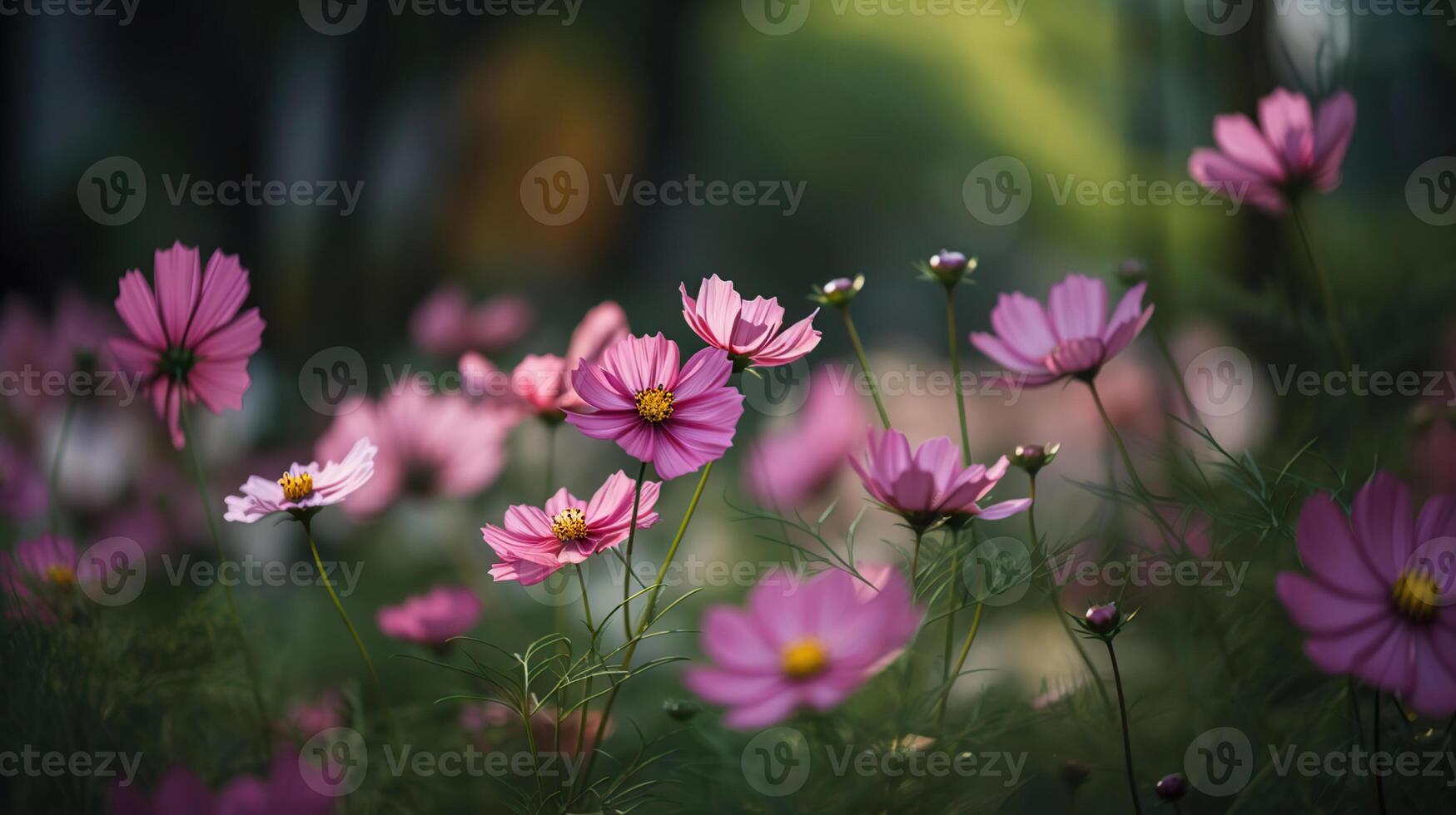 magnifique cosmos fleurs épanouissement dans jardin, génératif ai photo