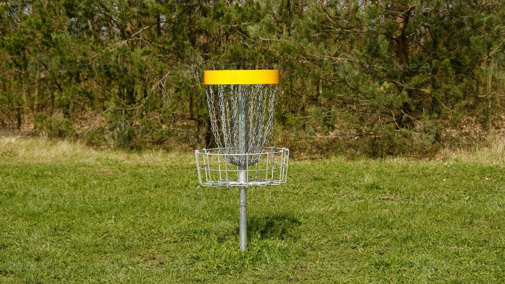 disque le golf panier. frisbee le golf est sport et Hobbie dans Extérieur parc. métal panier avec Chaînes pour disque Jeu entouré par vibrant vert des arbres. photo