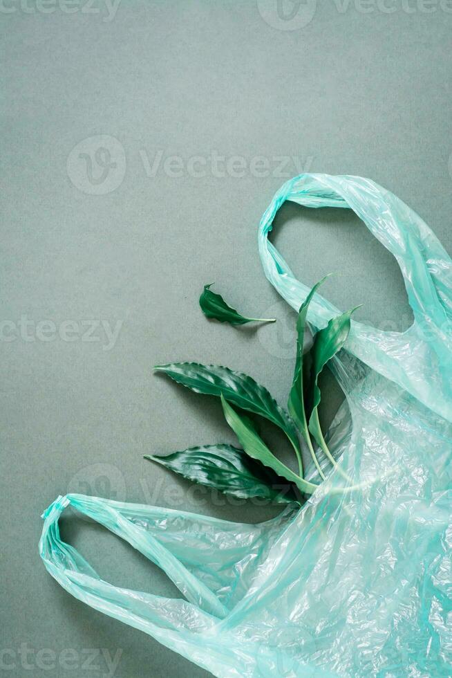 Frais vivre feuilles dans une Plastique sac sur une vert Contexte. vert et environnement protection concept. Haut vue photo