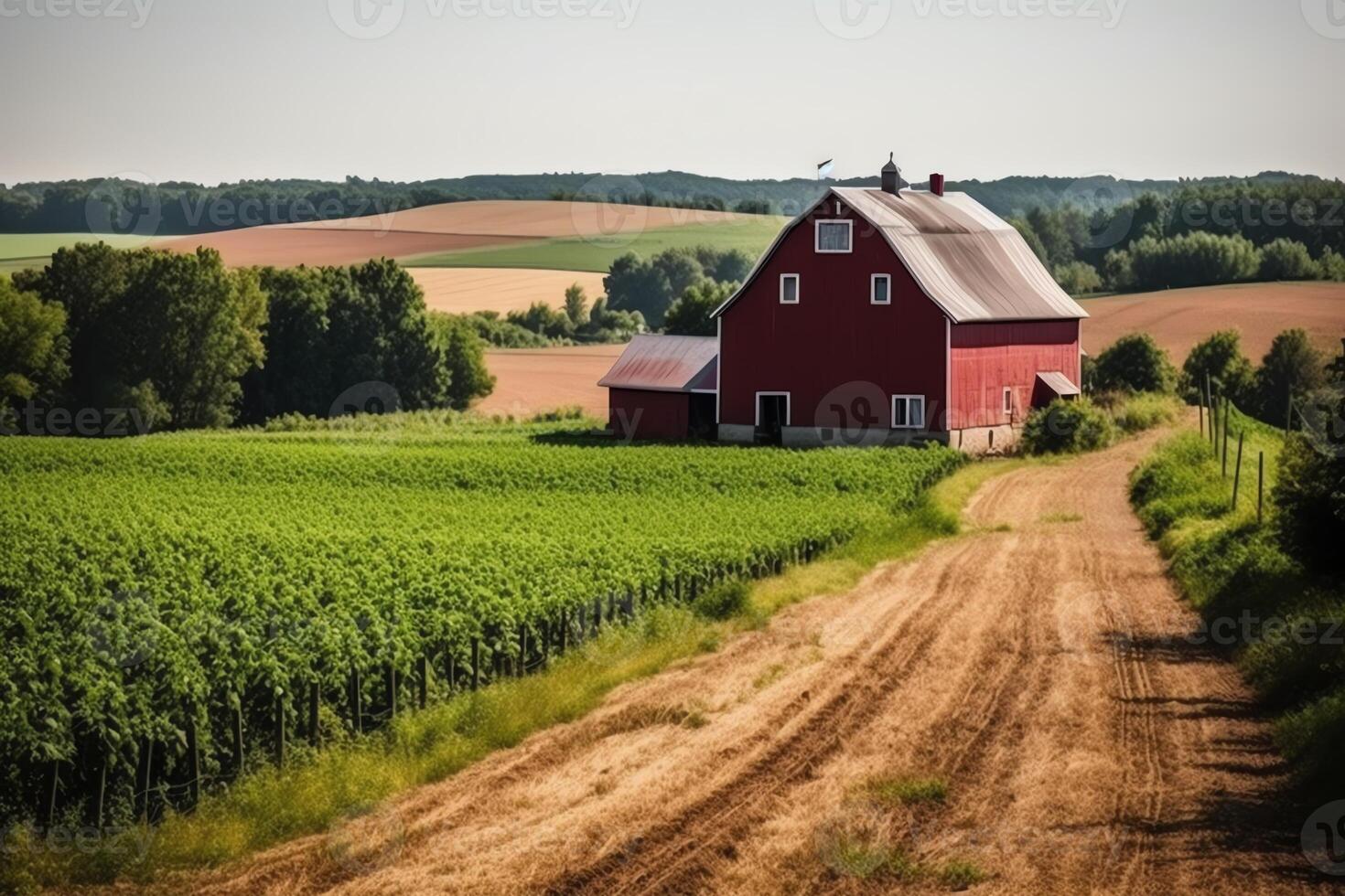 des champs avec une rouge Grange dans le heure d'été campagne campagne réglage ferme construction ferme éducation. ai généré photo