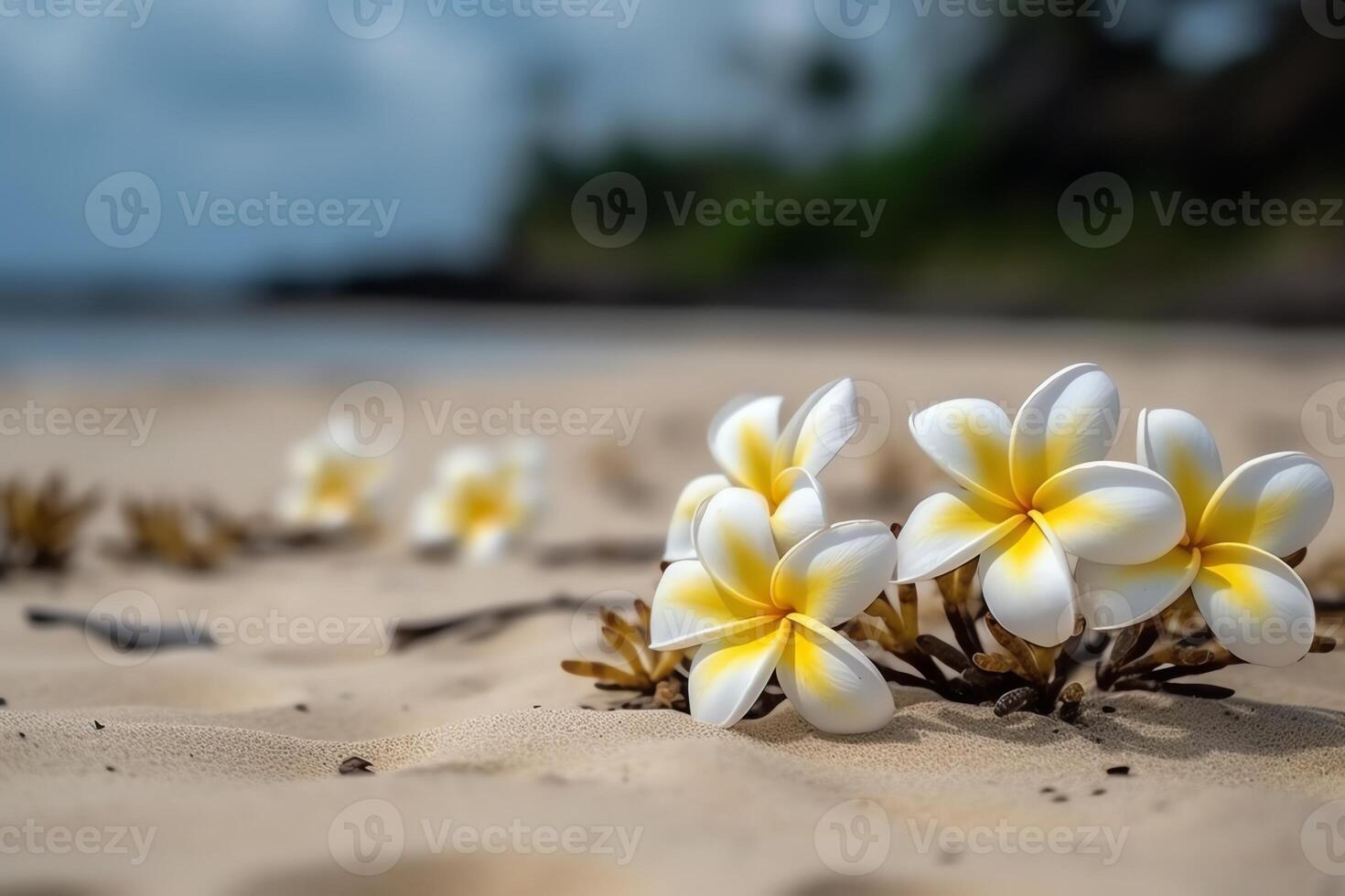 frangipanier fleurs sur le le sable avec. ai généré photo