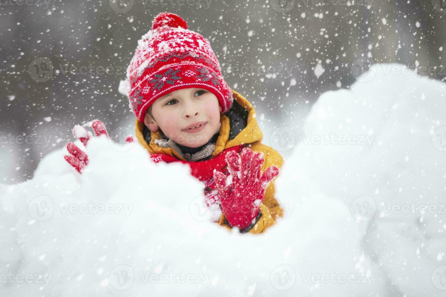 Petit Garçon Dans L'habillement D'hiver Marchant Dans La Neige, Vue Du Dos  Image stock - Image du gens, personne: 85892849