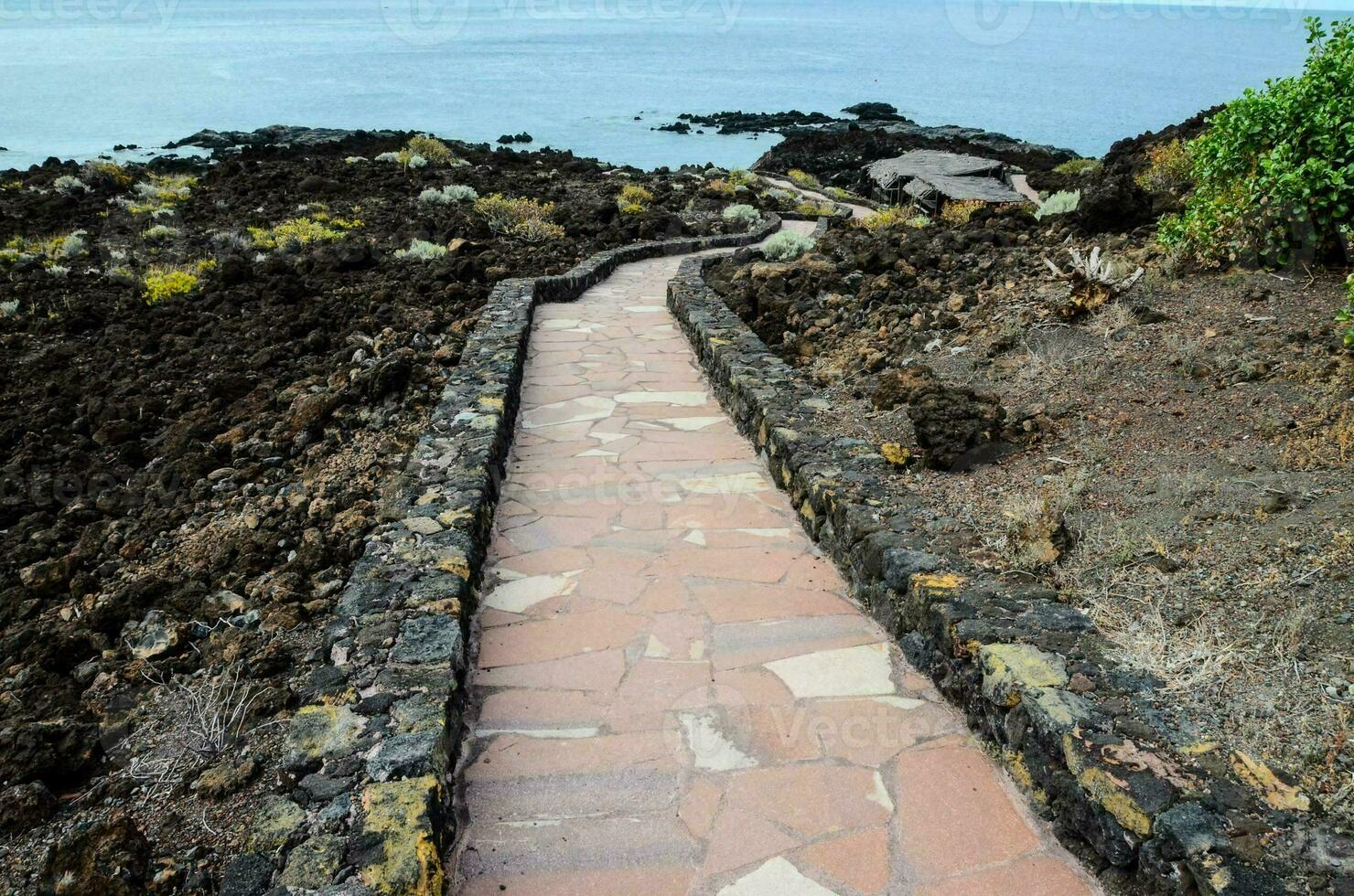 une chemin à le plage photo