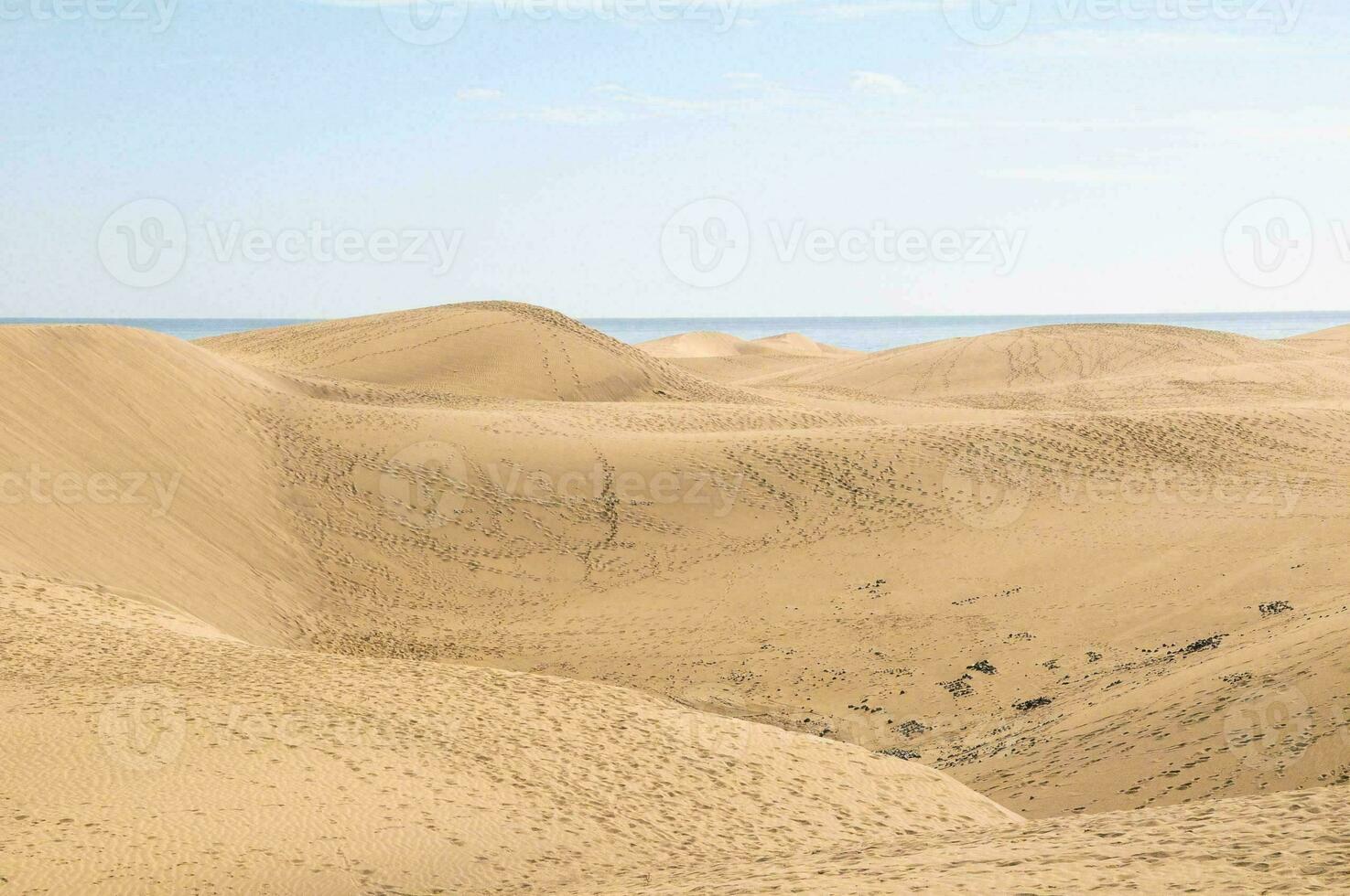 scénique le sable dunes photo