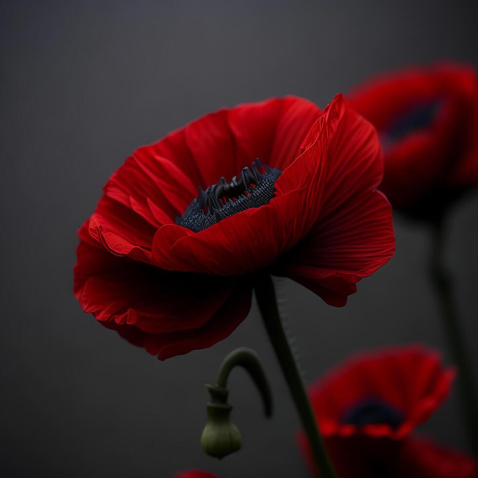 rouge coquelicot Floraison avec ai génératif photo