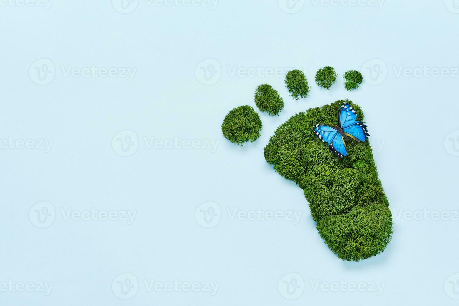 Créatif éco, environnement se soucier, Terre journée concept. pieds nus empreinte fabriqué de Naturel vert mousse et papillon sur bleu Contexte photo