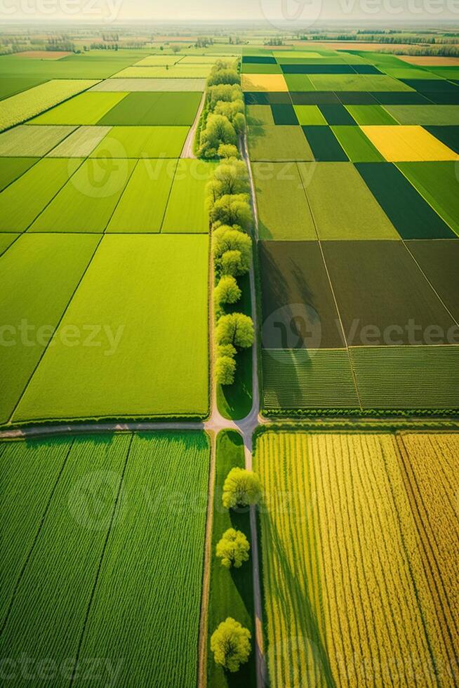 génératif ai, ferme paysage, agricole des champs, magnifique campagne, pays route. la nature illustration, photoréaliste Haut vue drone, verticale format photo