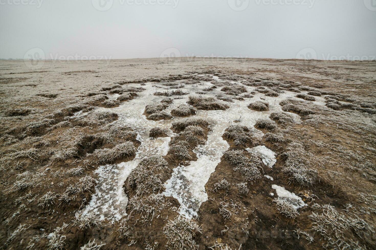congelé sol dans plat terre dans l'hiver. photo