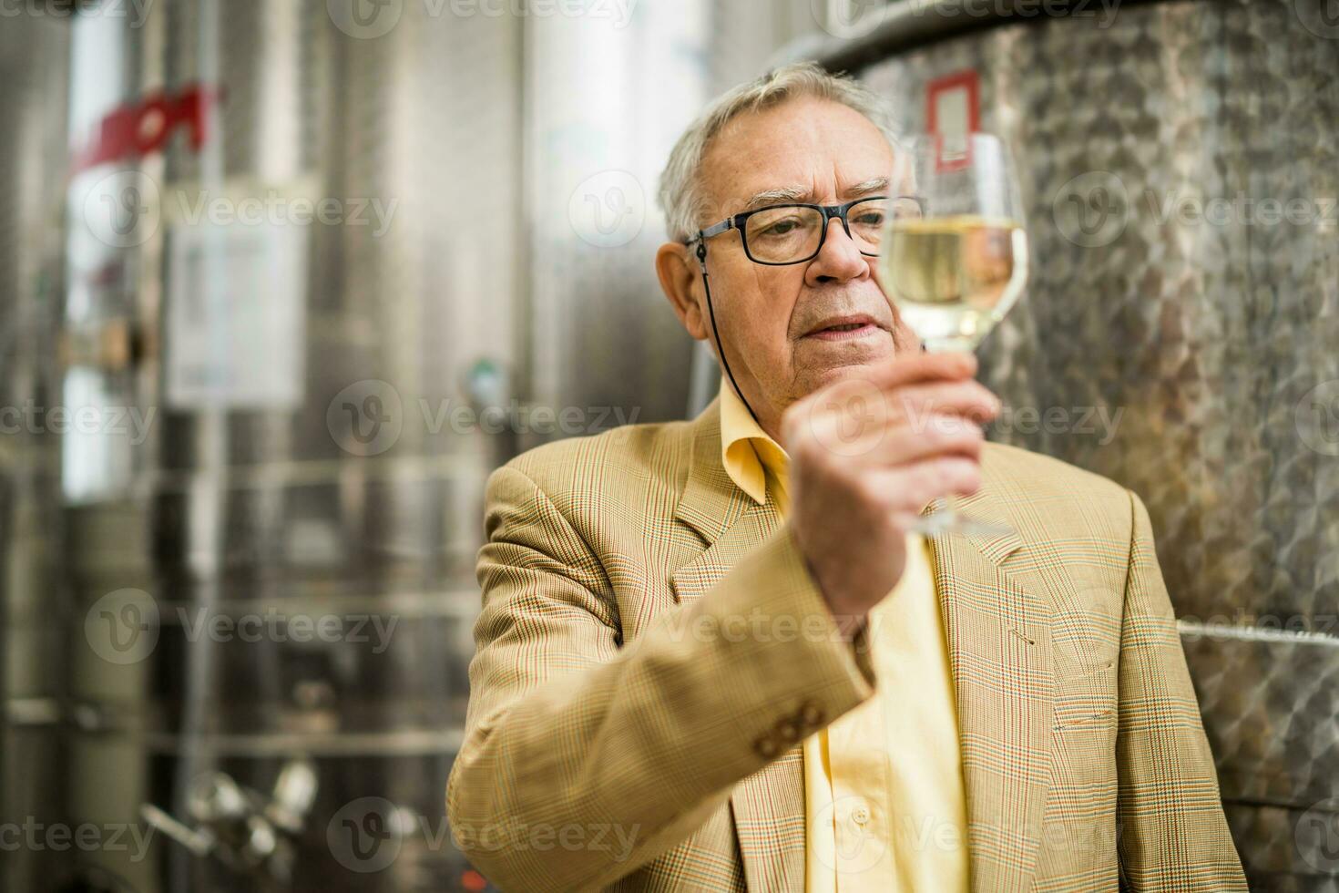 content Sénior homme qui possède une vignoble. industrie du vin fabrication concept. photo