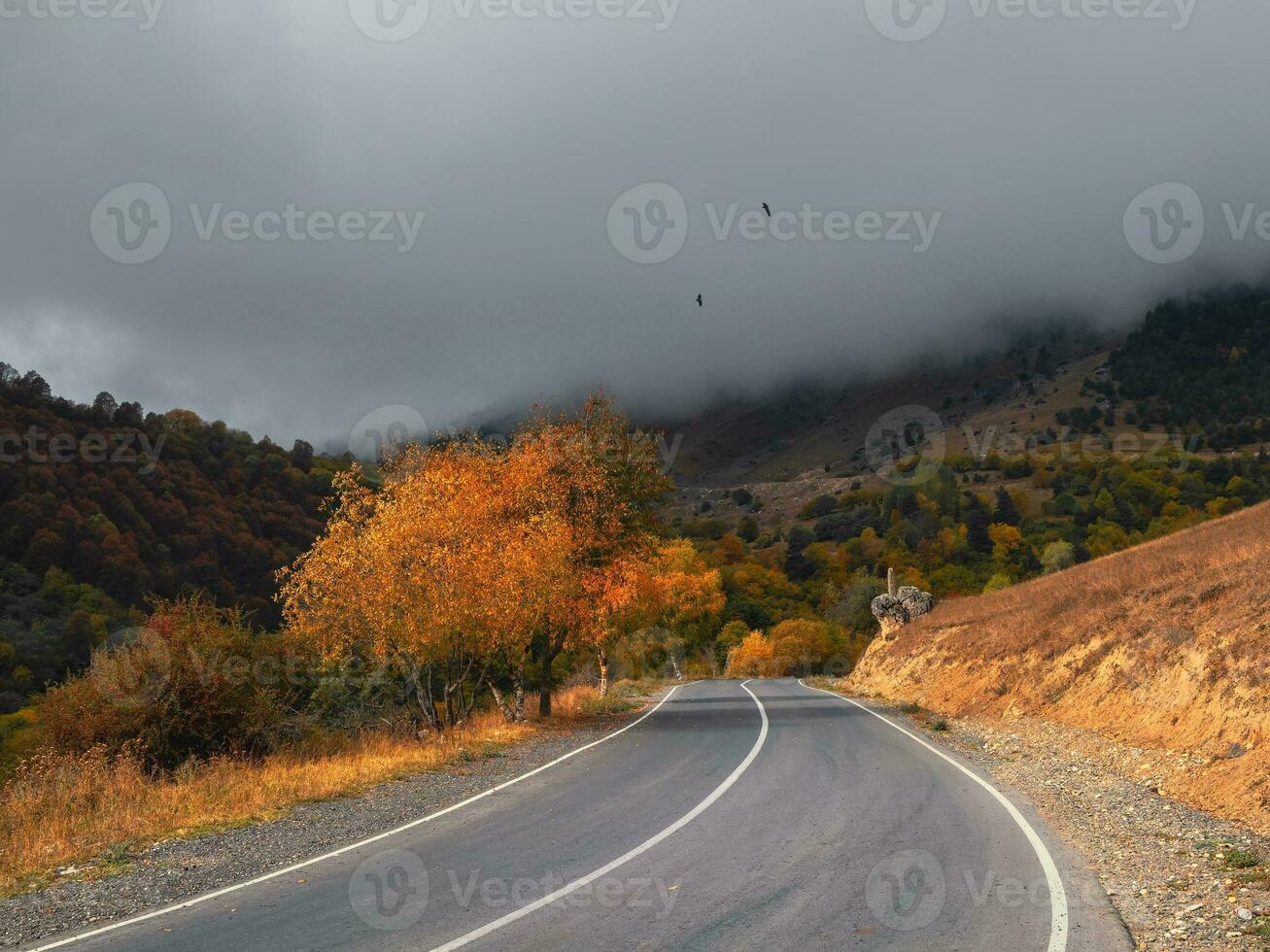 vide Matin Autoroute par le passer dans épais brouillard. magnifique asphalte autoroute, autoroute, Autoroute par de caucasien paysage montagnes collines à du froid temps dans milieu octobre. ingouchie. photo
