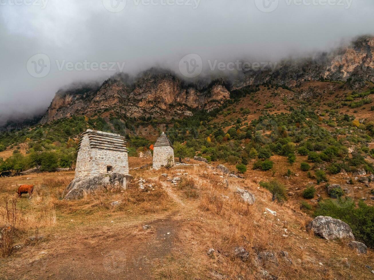 majestueux ancien la tour bâtiments de Kelly et vieux famille cryptes dans le assinesky gorge de montagneux ingouchie, un de le médiéval de type château la tour villages, situé sur le Montagne gamme, Russie photo