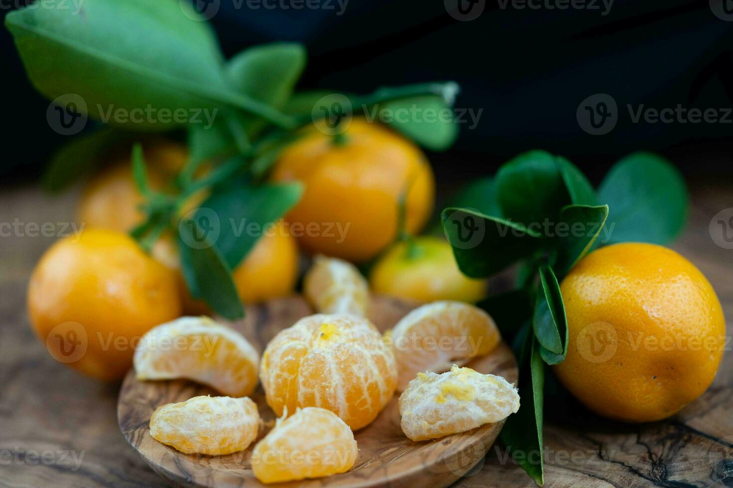 le calamondin Orange nitro Fortunella macrocarpa est une hybride de mandarin un cumquat photo