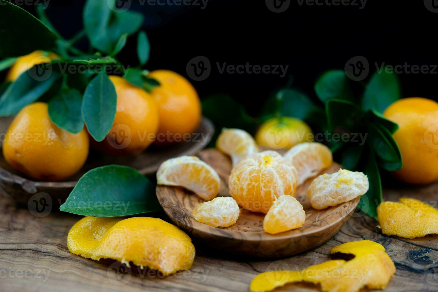 le calamondin Orange nitro Fortunella macrocarpa est une hybride de mandarin un cumquat photo