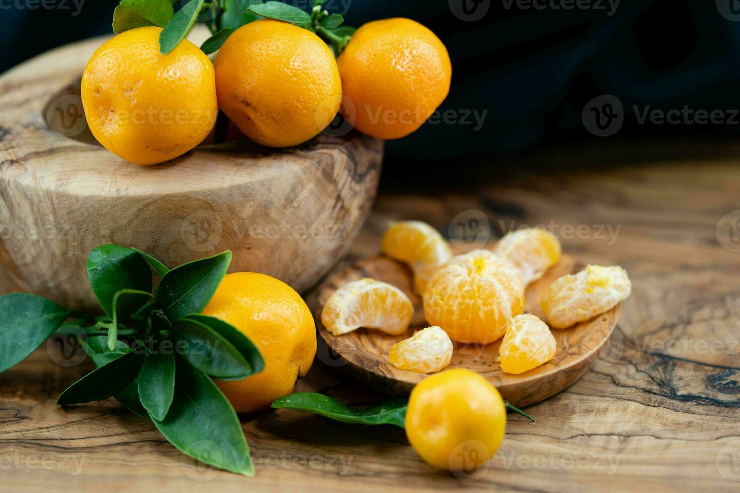 le calamondin Orange nitro Fortunella macrocarpa est une hybride de mandarin un cumquat photo