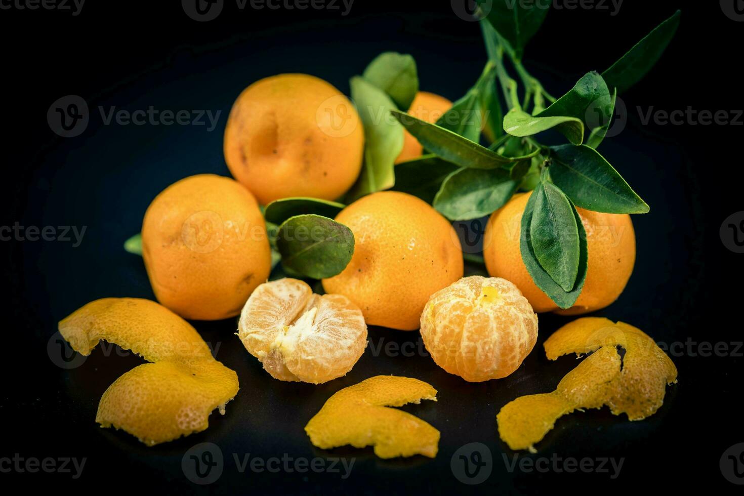 le calamondin Orange nitro Fortunella macrocarpa est une hybride de mandarin un cumquat photo