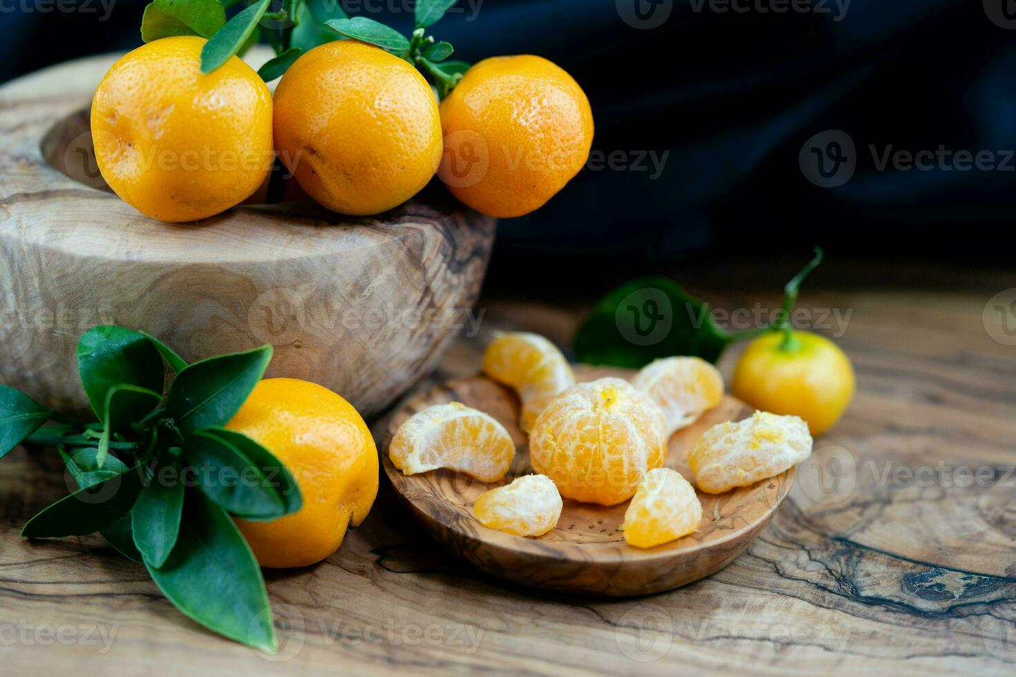 le calamondin Orange nitro Fortunella macrocarpa est une hybride de mandarin un cumquat photo