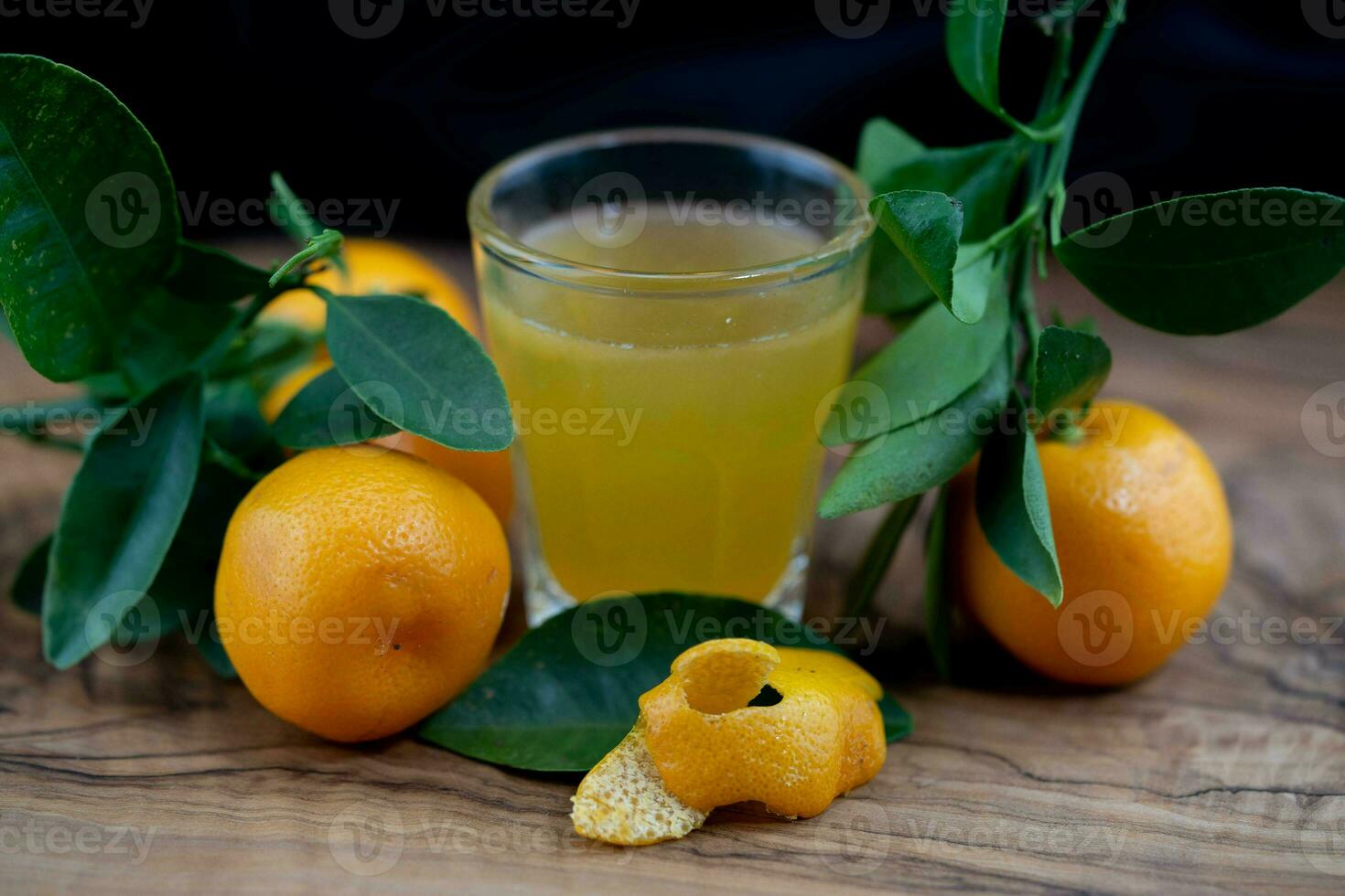 le calamondin Orange nitro Fortunella macrocarpa est une hybride de mandarin un cumquat photo