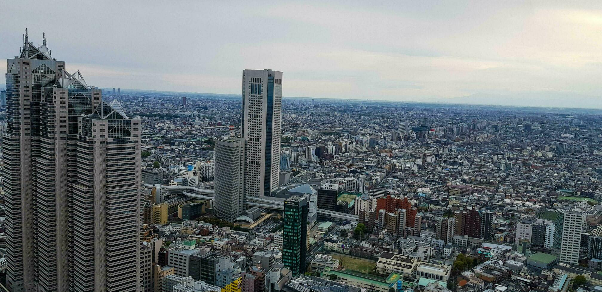 Tokyo, Japon dans avril 2019. le vue de tokyo de au dessus comme vu de le tokyo gouvernement bâtiment photo