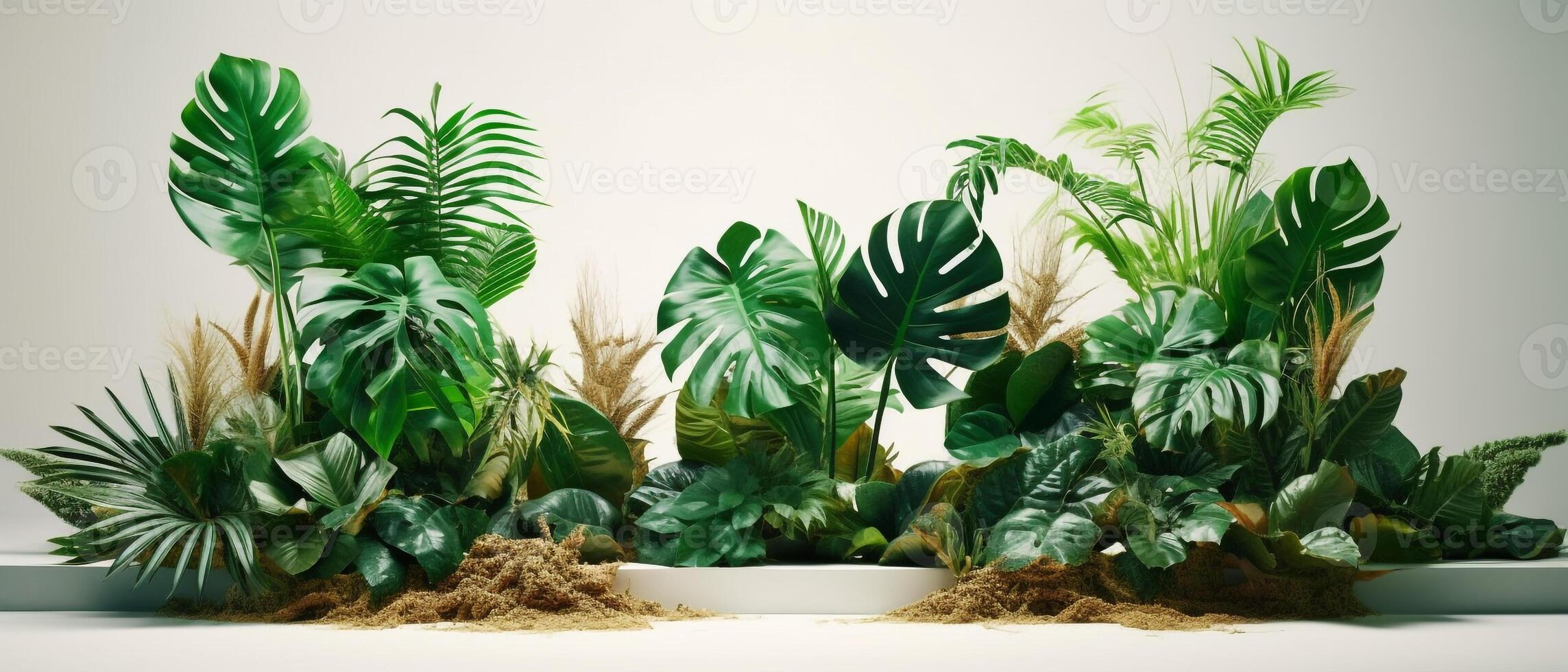 tropical plante toile de fond avec une podium dans le centre. ai génératif photo