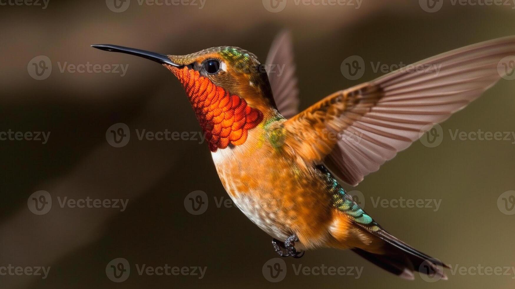 le magnifique en danger roux colibri - sélasphore rufus - génératif ai. photo