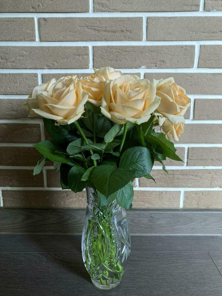 bouquet de Frais des roses dans cristal vase. studio photo