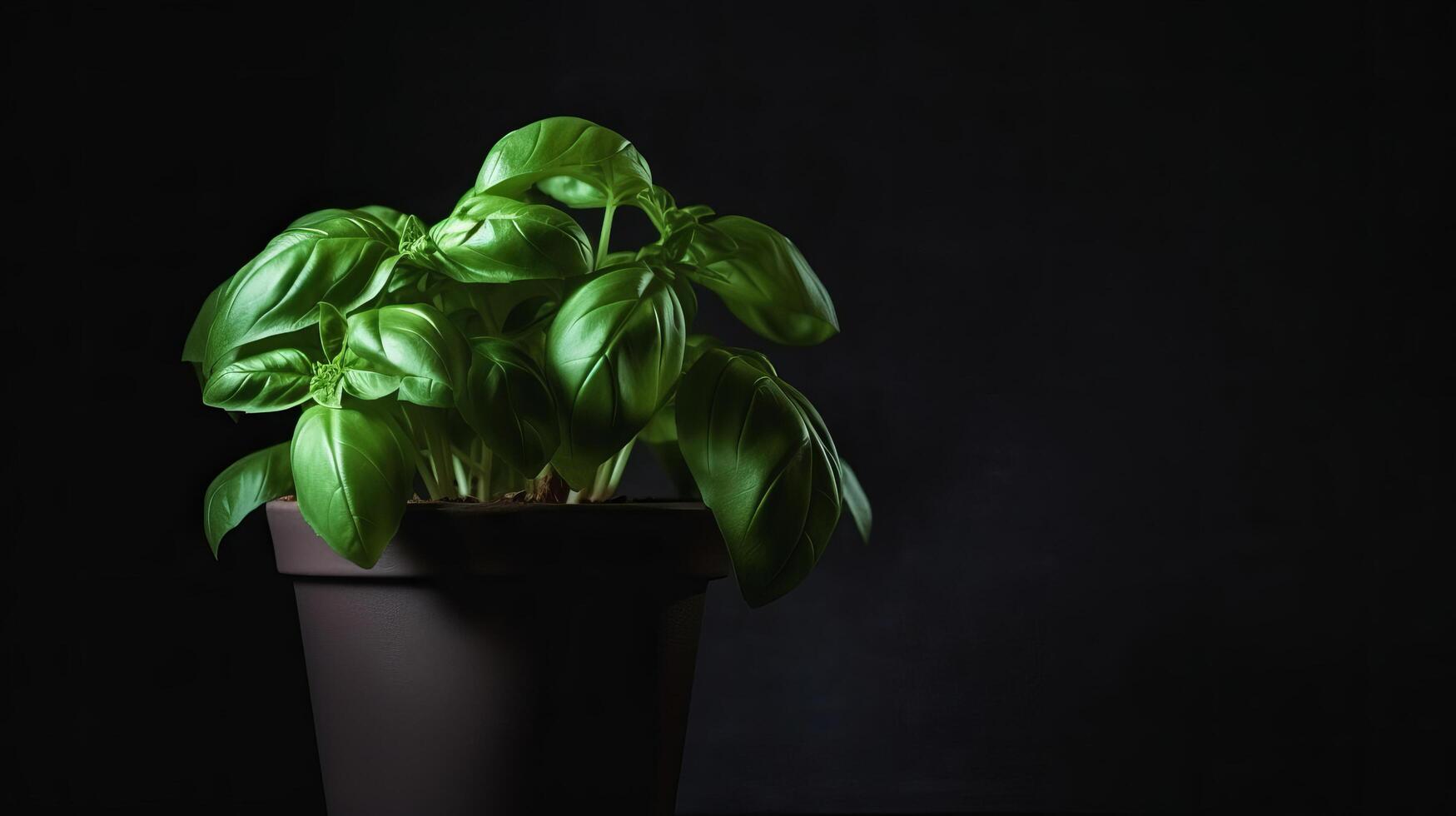 basilic feuilles dans fleur pot. illustration ai génératif photo