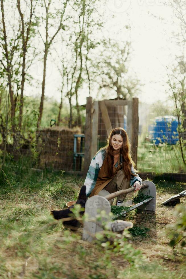 une femme verse nourriture dans une oiseau mangeoire tandis que séance dans une poulet stylo dans le campagne sur une été journée dans le lumière du soleil. le concept de écologique se soucier et biologique agriculture photo