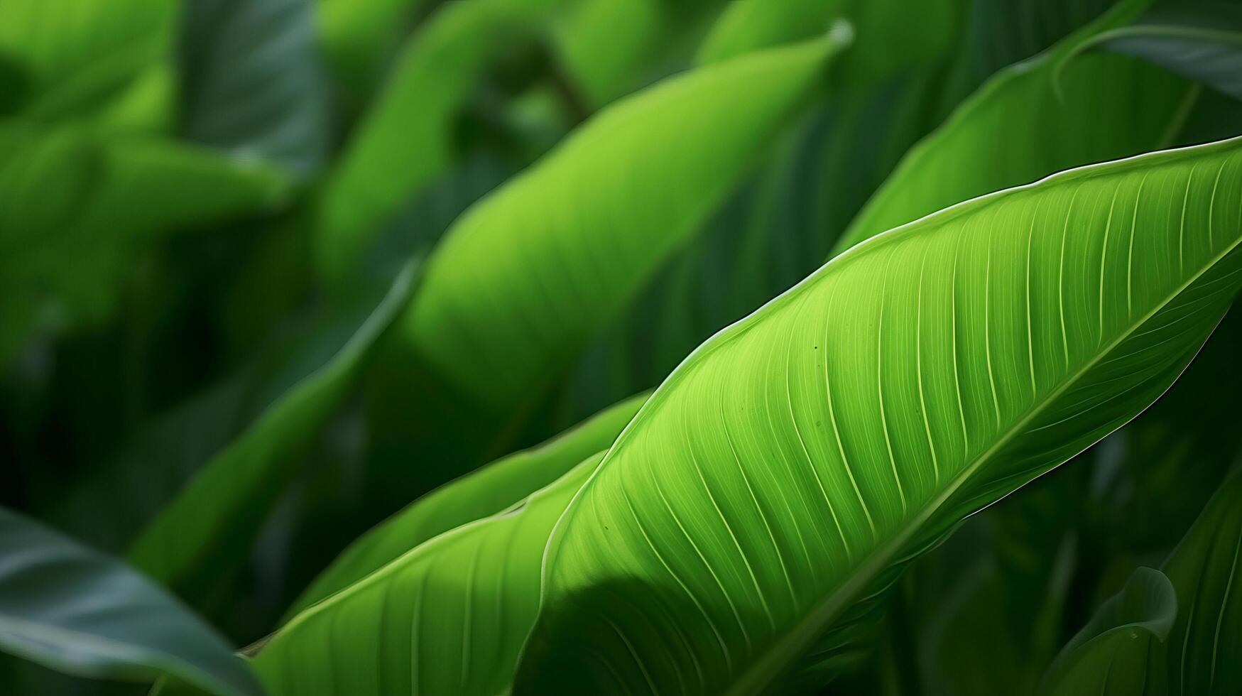 tropical feuilles Contexte. illustration ai génératif photo