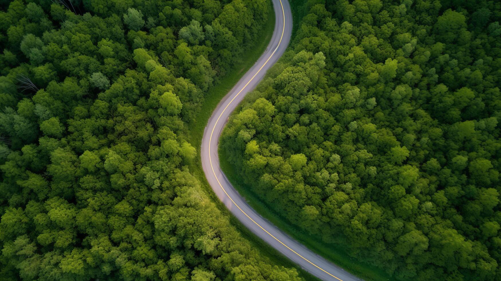 drone forêt route. illustration ai génératif photo