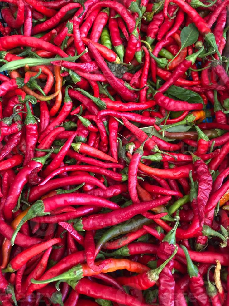 piments rouges photo