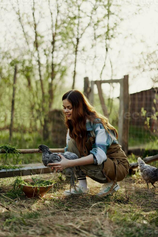 content femme agriculteur travaux à sa pays maison dans le poulet stylo et examine leur à vérifier le santé de Jeune poulets photo