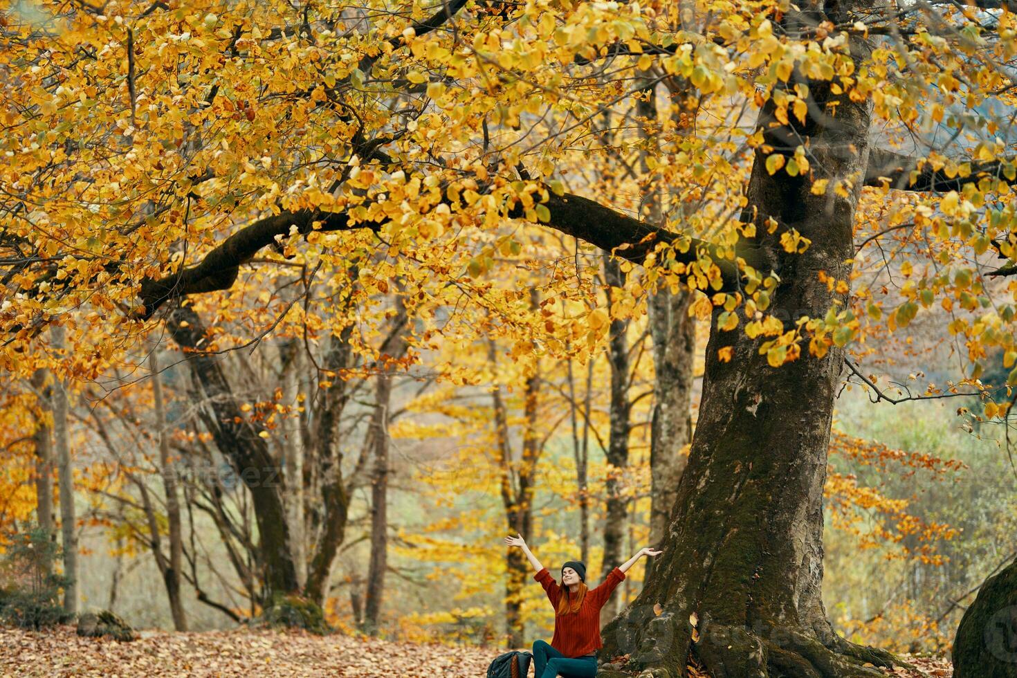 femme dans l'automne forêt séance en dessous de une arbre paysage Jaune feuilles modèle photo