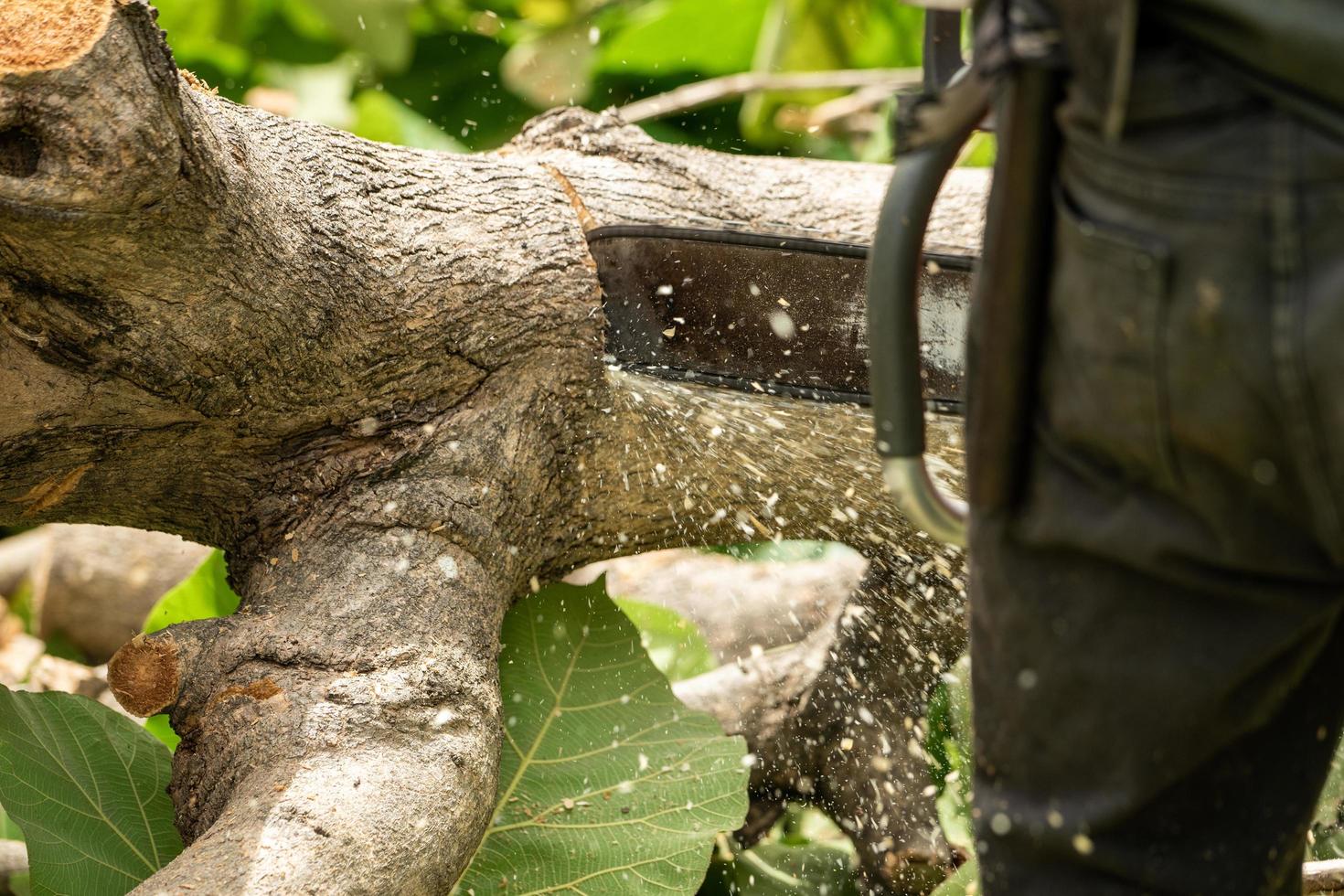 Gros plan de la tronçonneuse couper le journal par la scie à chaîne avec de la sciure de bois volant autour. photo