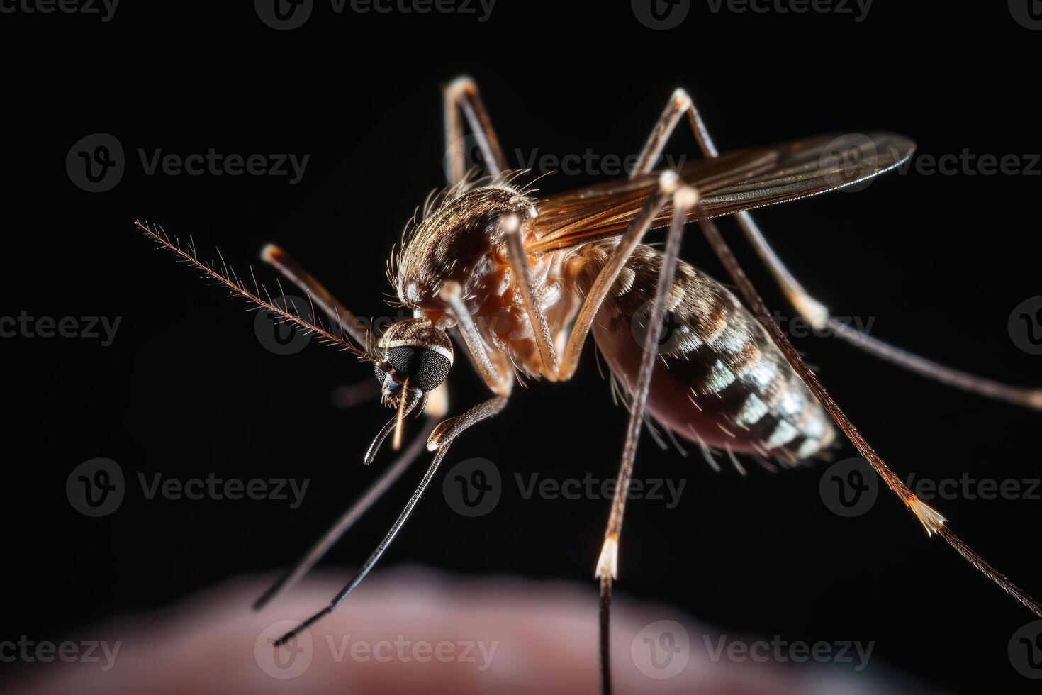 fermer vue de une moustique sur une Humain bras établi avec génératif ai technologie. photo